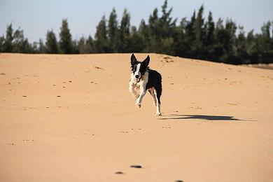 Konami《eFootball》差评如潮 已是Steam上评价最差的游戏